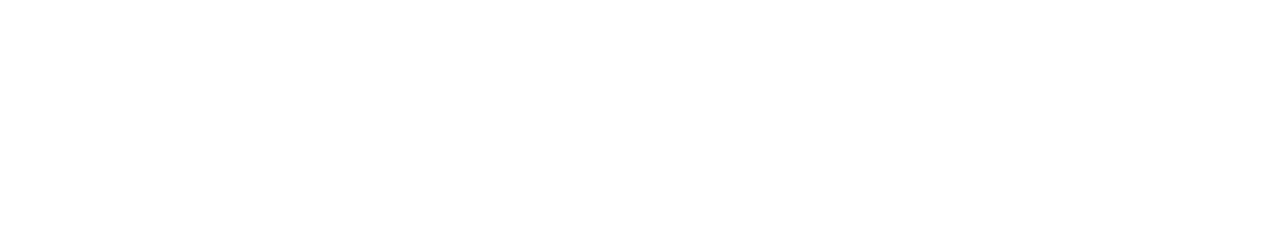 HAWAII-staffing&services-white-padded